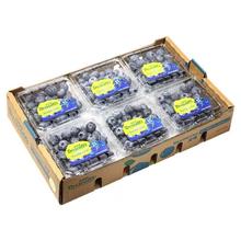 鲜程祥合 特大果 蓝莓 125g*12盒 单果15-18mm
