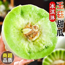 京世泽 山东玉菇甜瓜 冰淇淋口感 新鲜水果 净重4.5-5斤（2枚装）畅享装