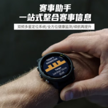 20点！GARMIN 佳明 Forerunner255 智能运动手表 神秘灰