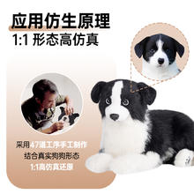 Chongker 边牧仿真狗狗玩偶公仔电动毛绒玩具小狗会叫儿童生日礼物