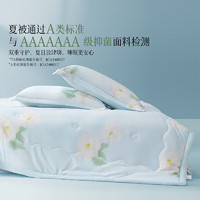 BLISS 百丽丝 100%蚕丝夏凉被【可水洗/A类】 150cm*200cm