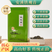 丝过 福建安溪铁观音250g 清香型茶叶乌龙茶