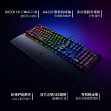 雷蛇（Razer） 机械键盘 黑寡妇蜘蛛V3 V3绿轴-104键