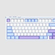PLUS：RK ROYAL KLUDGERK R75 机械键盘