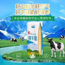 青藏祁莲 祁宝纯牛奶青海祁连山纯牛奶 200ml*10支