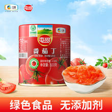 屯河 新疆内蒙番茄丁罐头 300g*1罐