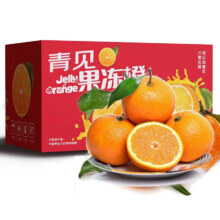 PLUS会员：鲜菓篮  四川丑橘耙耙柑 带箱5斤70-80mm净4.5+ *2件