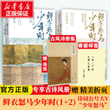鲜衣怒马少年时(1+2)