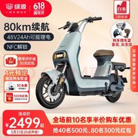 LUYUAN 绿源 LIVA7豪华版 48V24Ah锂电新国标电动自行车