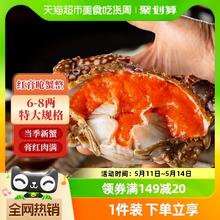 遇上鲜 舟山红膏呛蟹整只生腌螃蟹4只（3-4两）