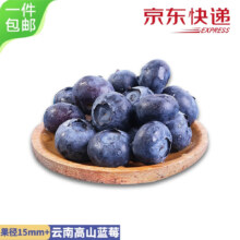 需首购：沐瑾云南蓝莓2盒装约125g/盒