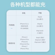 飞利浦（PHILIPS）快充数据线苹果MFI认证PD20W适用于ipad闪充冲电手机充电线平板快充线电源线软硅胶 PD20W天蓝色1.2米