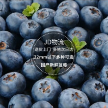 京东百亿补贴：呈鲜果农 蓝莓 当季时令生鲜水果 整箱2斤装 大果 约15-19mm