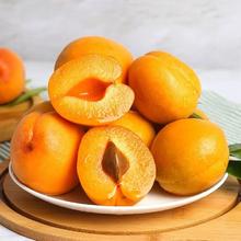 青岛啤酒 全麦白啤500mL*12听*2件 赠汉斯菠萝啤330mL*12罐