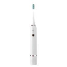 博皓（prooral）T33声波电动牙刷护齿压感提醒成人充电式情侣送礼生日礼物 白雪  母亲节礼物