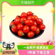 88VIP会员：88VIP：天猫超市 圣女果小番茄5斤整箱