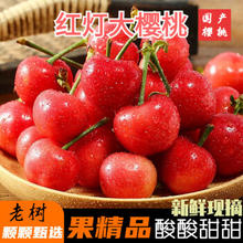 慕容三少 山东大樱桃红灯车厘子 5 斤彩箱装22-26mm