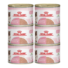 皇家奶糕罐头慕斯幼猫1-4个月离乳期奶糕孕猫罐头湿粮猫零食195g/罐 猫慕斯奶糕罐195g * 6罐