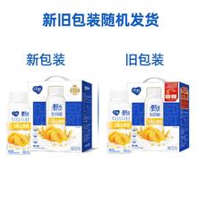 纯甄 黄桃燕麦味谷粒风味酸奶200g*10瓶