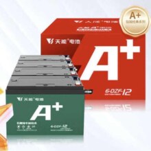31日20点：TIANNENG BATTERY 天能电池 48V12Ah/铅酸电池 免费上门安装