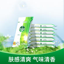 Dettol 滴露 湿巾 10片x8包