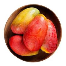 少羽 海南 芒果贵妃芒果 芒果 9斤 特大果