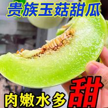 百亿补贴：小毛驴 玉菇冰淇淋甜瓜山东新鲜现摘净重4.5斤起