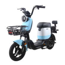 618预售：五星钻豹电动车48V24AH锂电池电瓶车新国标电动自行车B3plus星辰白/活力蓝