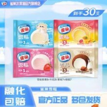 Nestlé 雀巢 糯米糍雪糍 30袋