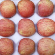 Plus会员:京鲜生 山东烟台红富士苹果 净重4.5KG 果径75mm+