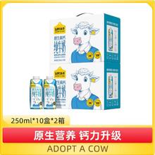 认养一头牛 原生高钙纯牛奶250ml*10盒*2箱全家早餐