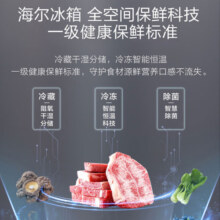 海尔海尔冰箱513升四开门十字对开门全空间保鲜一级能效双变频除菌净味超薄嵌入式智能家用冰箱 513L+全空间保鲜+EPP超净+宽幅变温