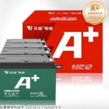 TIANNENG BATTERY 天能电动车电池 48V12Ah/铅酸电池 免费上门安装