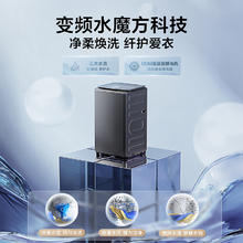小天鹅 小钢炮水魔方TB100V83PLUS 波轮洗衣机