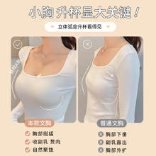EVE‘S WHISPER 夏娃秘语 秘语蕾丝性感内衣女春夏薄款少女聚拢侧收文胸女聚拢型胸罩