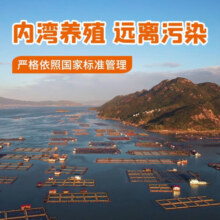 三都港 调味醇香黄鱼鲞黄瓜鱼新鲜生鲜海鱼宁德黄花鱼鱼类冷冻海鲜水产 调味黄花鱼140-160g*4条
