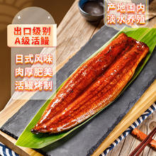 东水 鳗鱼蒲烧400g整条