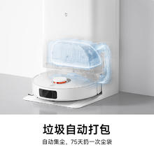 MIJIA 米家 M30 D102 扫拖一体机 水箱版