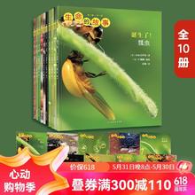 生命的故事礼盒装 赠音频 3-8岁幼儿园儿童自然科学科普绘本 昆虫朋友大百科早