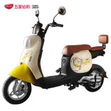 31日20点：ZUB 五星钻豹 电动车 48V24AH锂电池 80KM长续航 B12