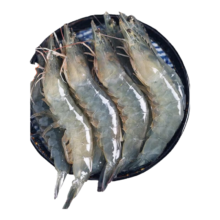 海头湾虾 厄瓜多尔南美白虾 盐冻大虾对虾 生鲜海鲜水产  毛重4斤 特大号20/30规格18-21cm