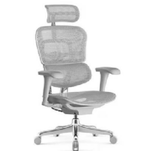 20日20点、PLUS会员：Ergonor 保友办公家具 金豪B 2代 人体工学电脑椅 银白色