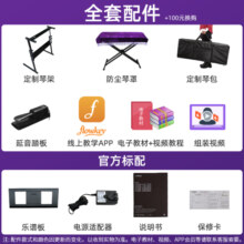 雅马哈（YAMAHA）电子琴KB309 成人儿童61键专业考级 幼师教学力度键盘 KB309官方标配
