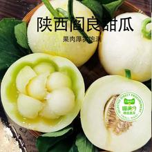 蜜蜂欢乐社 陕西阎良甜瓜 4.5斤单果350g+