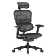 Ergonor 保友办公家具 金豪B 2代 人体工学电脑椅 黑色 美国网款