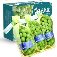 花姿妖 现摘现发 阳光玫瑰葡萄 6斤彩箱装（单果6-12g)