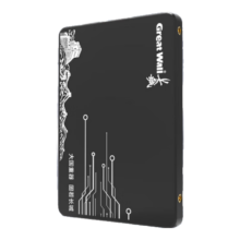 Great Wall 长城  240GB SSD固态硬盘 SATA3.0接口 读速520MB/S台式机/笔记本通用 GW520系列