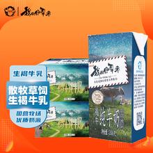伊牧欣 褐牛奶 206g*10盒*2箱