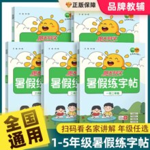2024新版！阳光同学暑假衔接练字帖