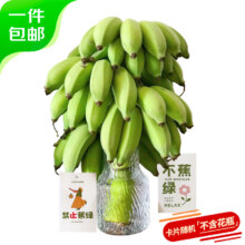 Mr.Seafood 京鲜生 禁止蕉绿苹果蕉 净重7-8斤